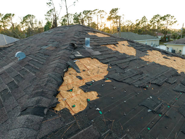 Trusted June Park, FL Roofing Services Experts